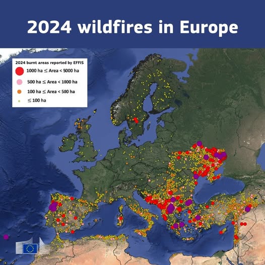 European wildfire map